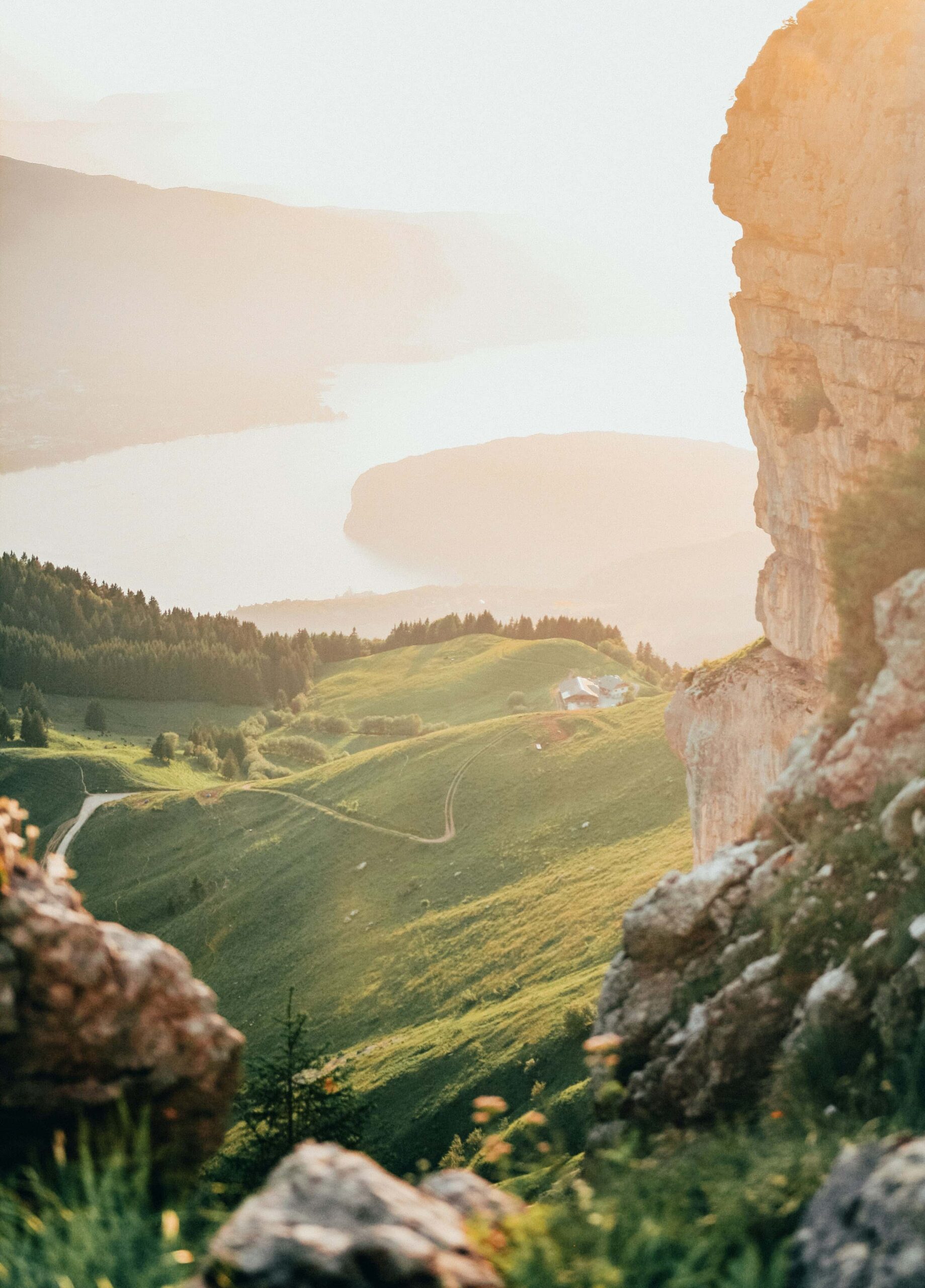eddy billard Y135jQWWn50 unsplash scaled